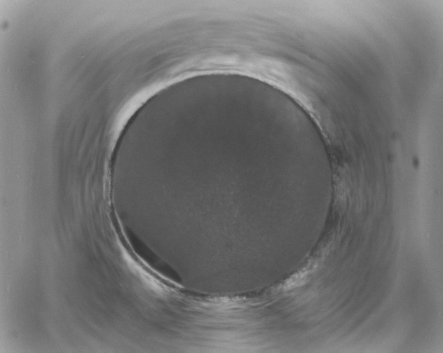 X0000060791527200511171255