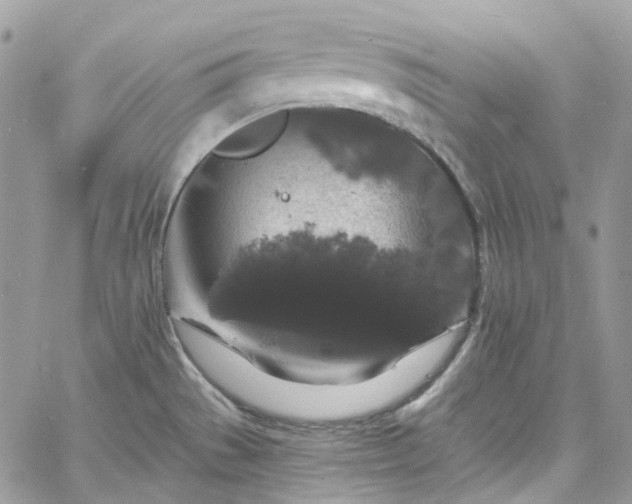 X0000060791529200511171255