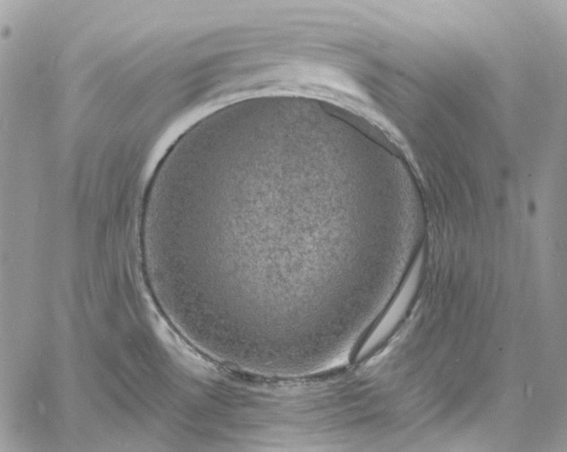 X0000060791530200511171255