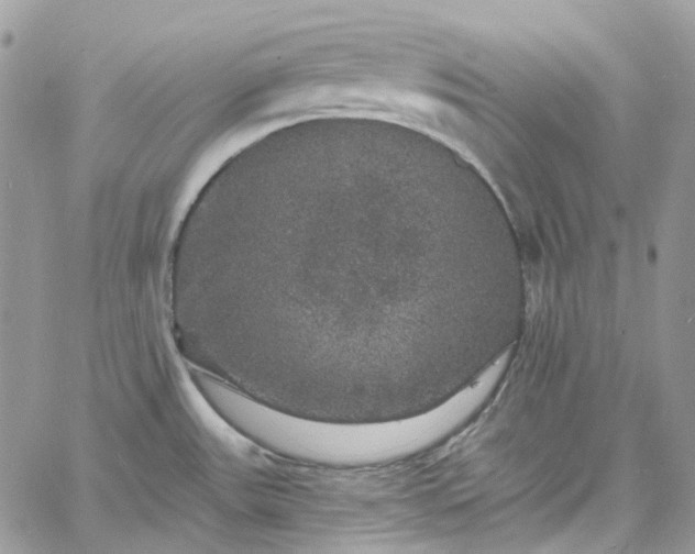 X0000060791531200511171255