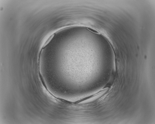 X0000060791532200511171255