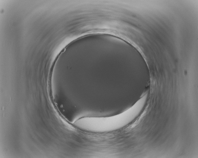 X0000060791533200511171255