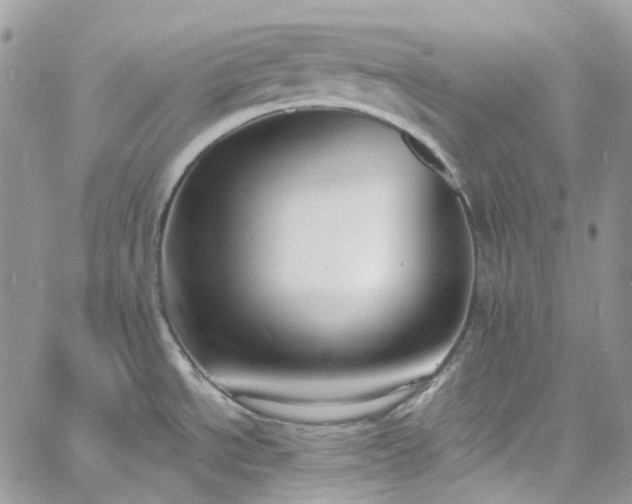 X0000060791534200511171255