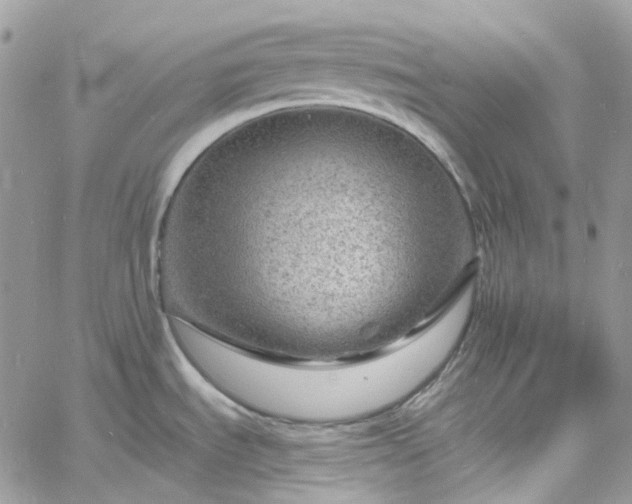 X0000060791535200511171255