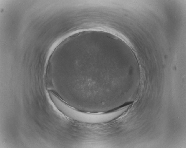 X0000060791536200511171255