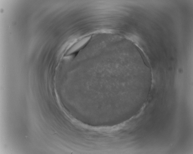 X0000060790001200511241857