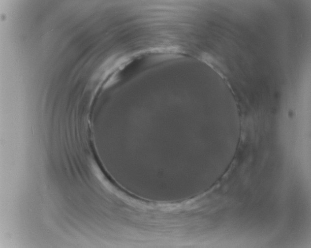 X0000060790002200511241857