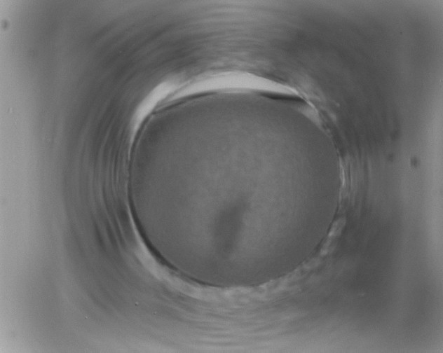 X0000060790003200511241857