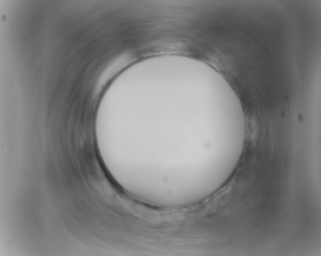 X0000060790004200511241857