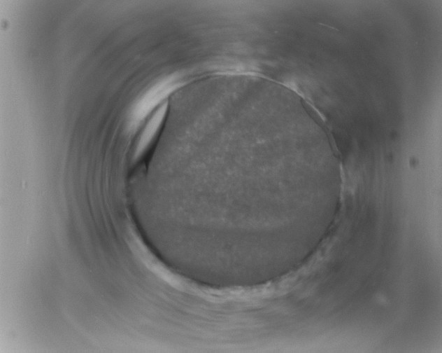 X0000060790005200511241857