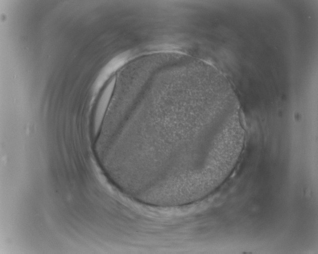 X0000060790006200511241857