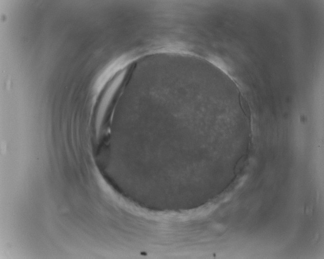 X0000060790007200511241857