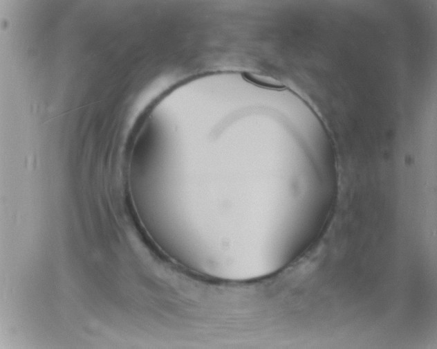 X0000060790008200511241857