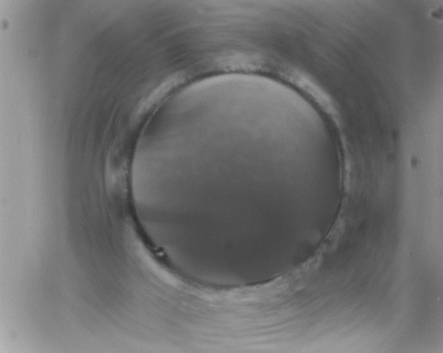 X0000060790009200511241856