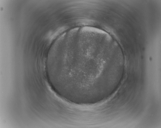 X0000060790010200511241856