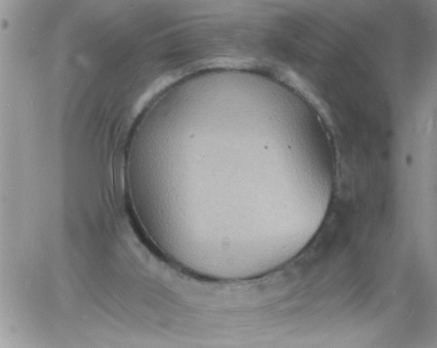 X0000060790011200511241856