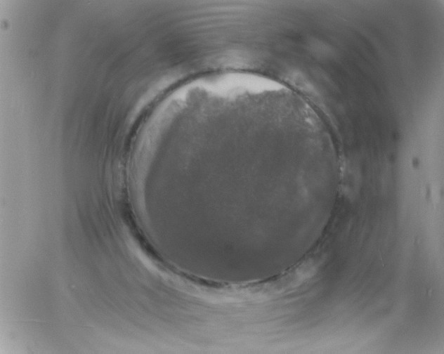 X0000060790012200511241856