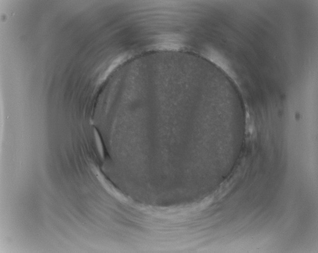 X0000060790013200511241856