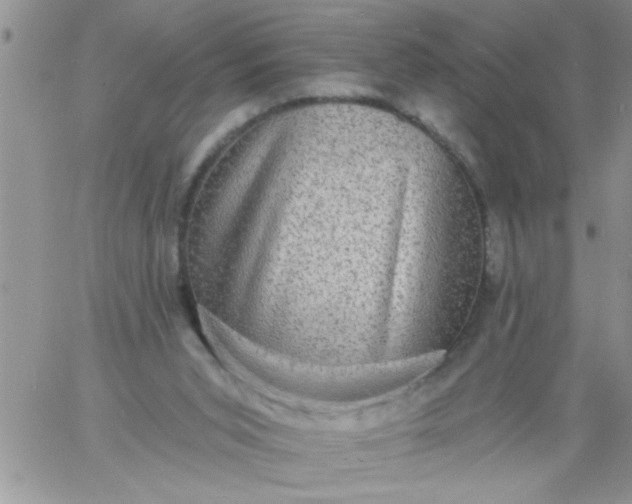 X0000060790015200511241856