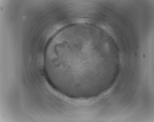 X0000060790016200511241856