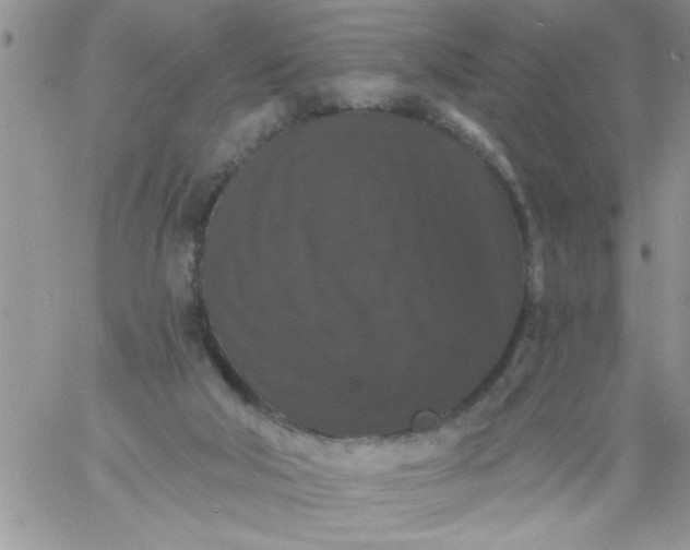 X0000060790018200511241856