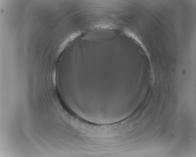 X0000060790019200511241856