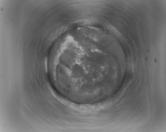 X0000060790022200511241856