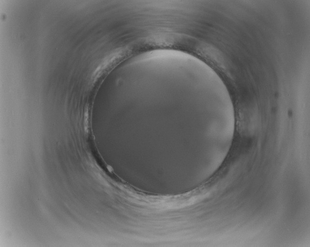 X0000060790023200511241856