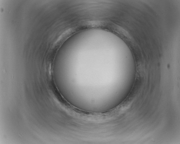 X0000060790024200511241856