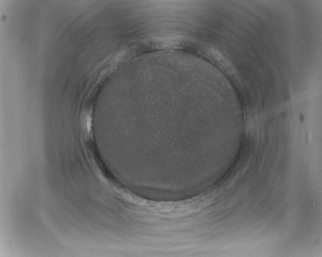 X0000060790026200511241856