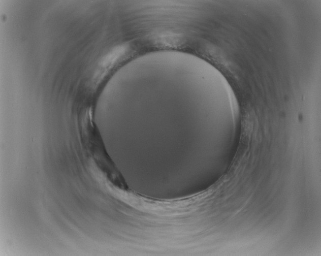 X0000060790027200511241856