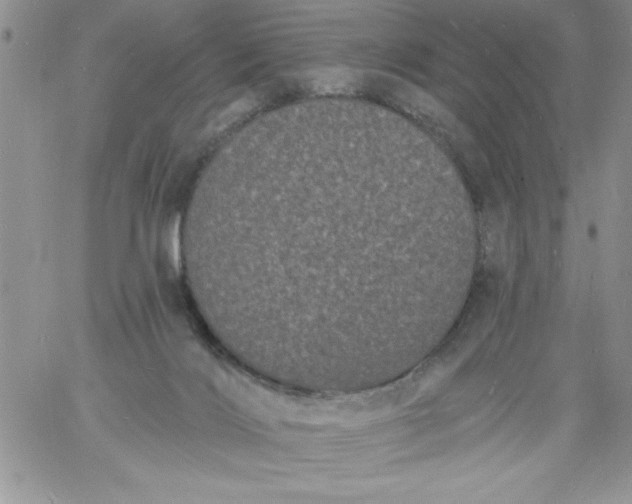 X0000060790028200511241856