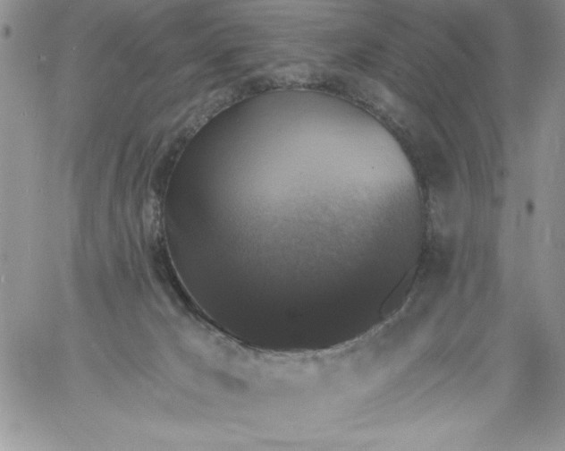 X0000060790029200511241856