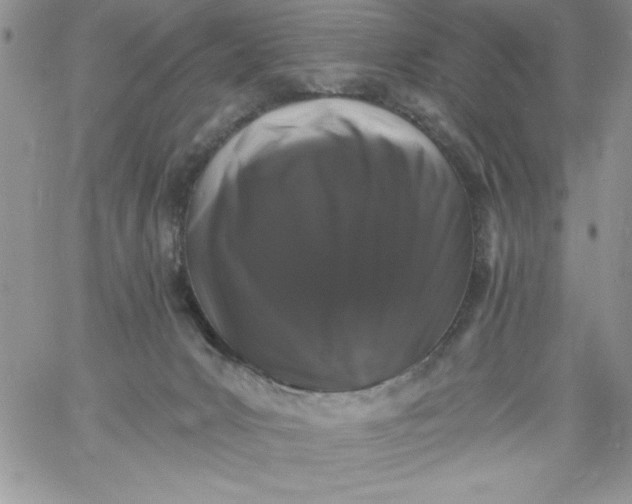 X0000060790031200511241856