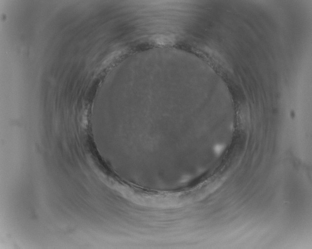 X0000060790032200511241856