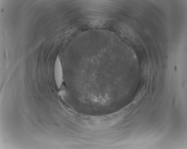 X0000060790033200511241856