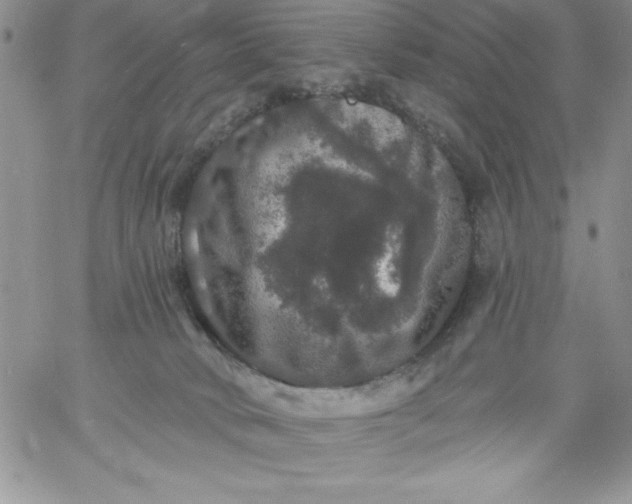 X0000060790034200511241856