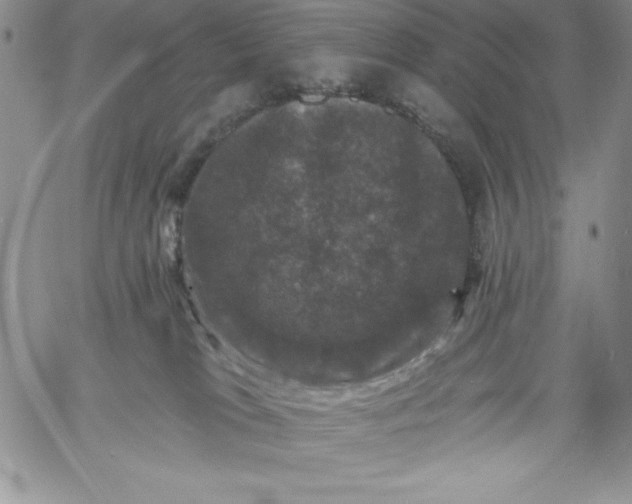 X0000060790037200511241856