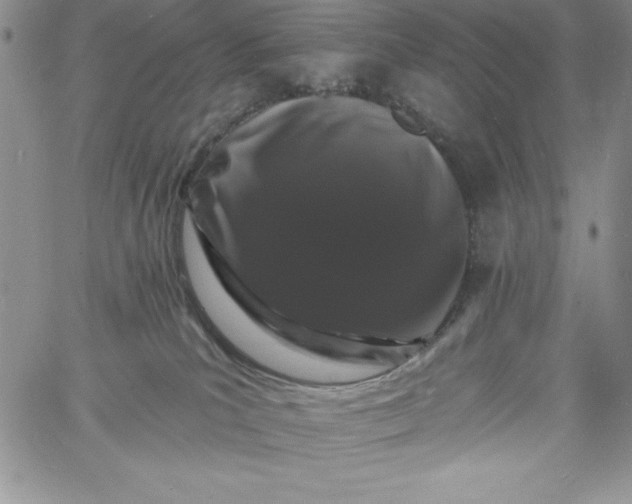 X0000060790039200511241856