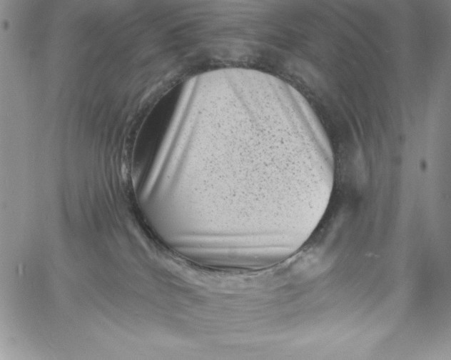 X0000060790040200511241856