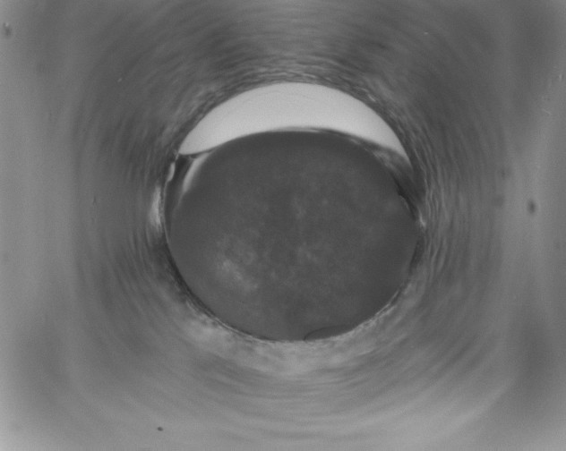 X0000060790041200511241856