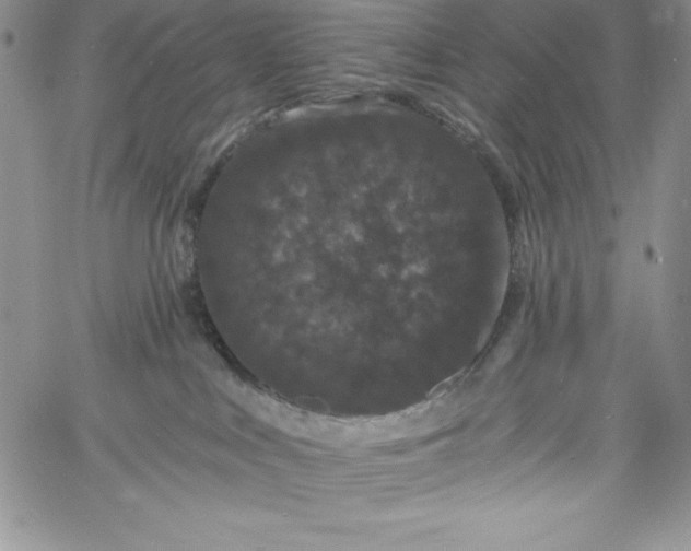 X0000060790043200511241856