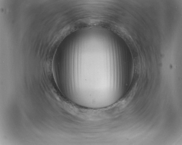 X0000060790044200511241856