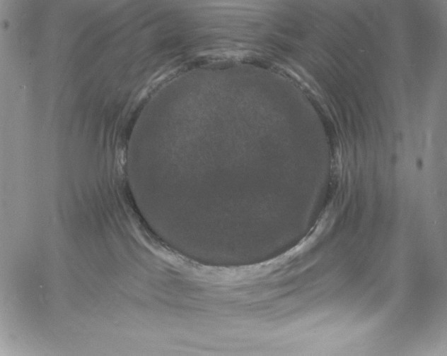 X0000060790045200511241856