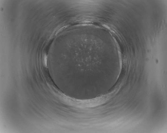 X0000060790046200511241856