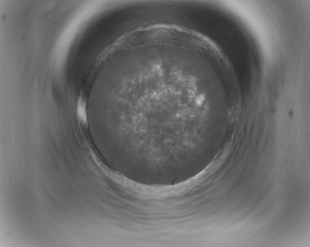 X0000060790047200511241856