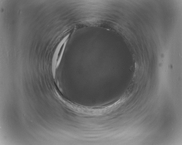 X0000060790048200511241856