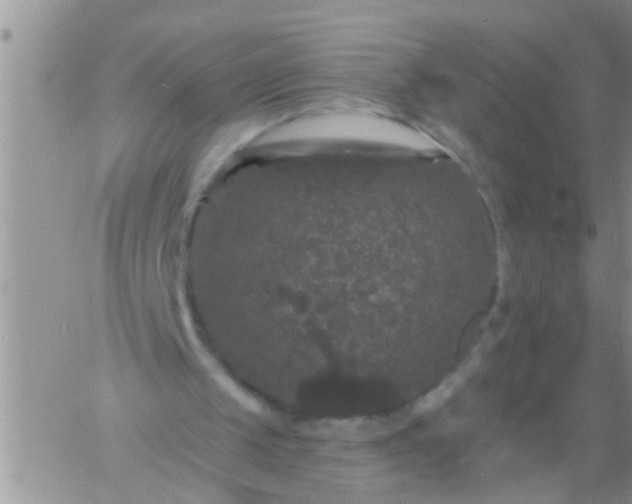 X0000060790049200511241855