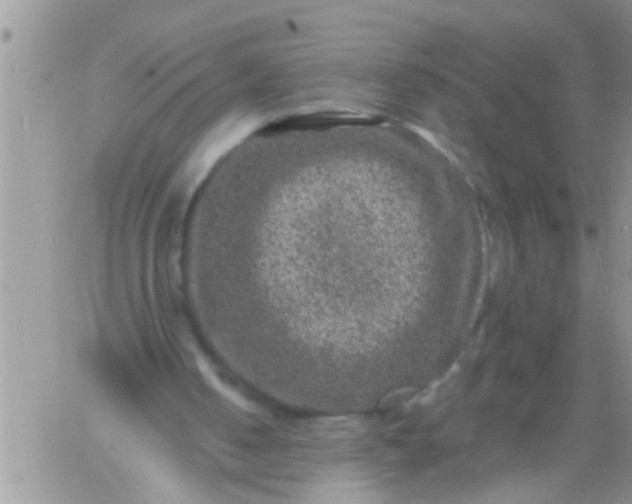 X0000060790050200511241855