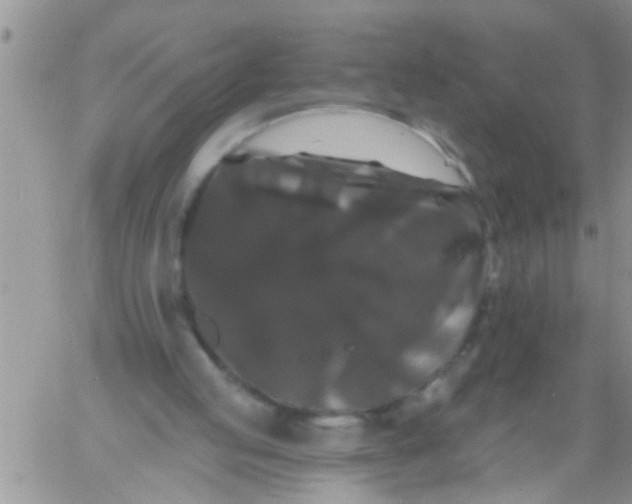 X0000060790053200511241855